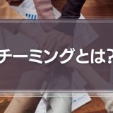 チーミングとは？