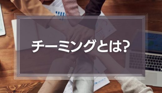 チーミングとは?